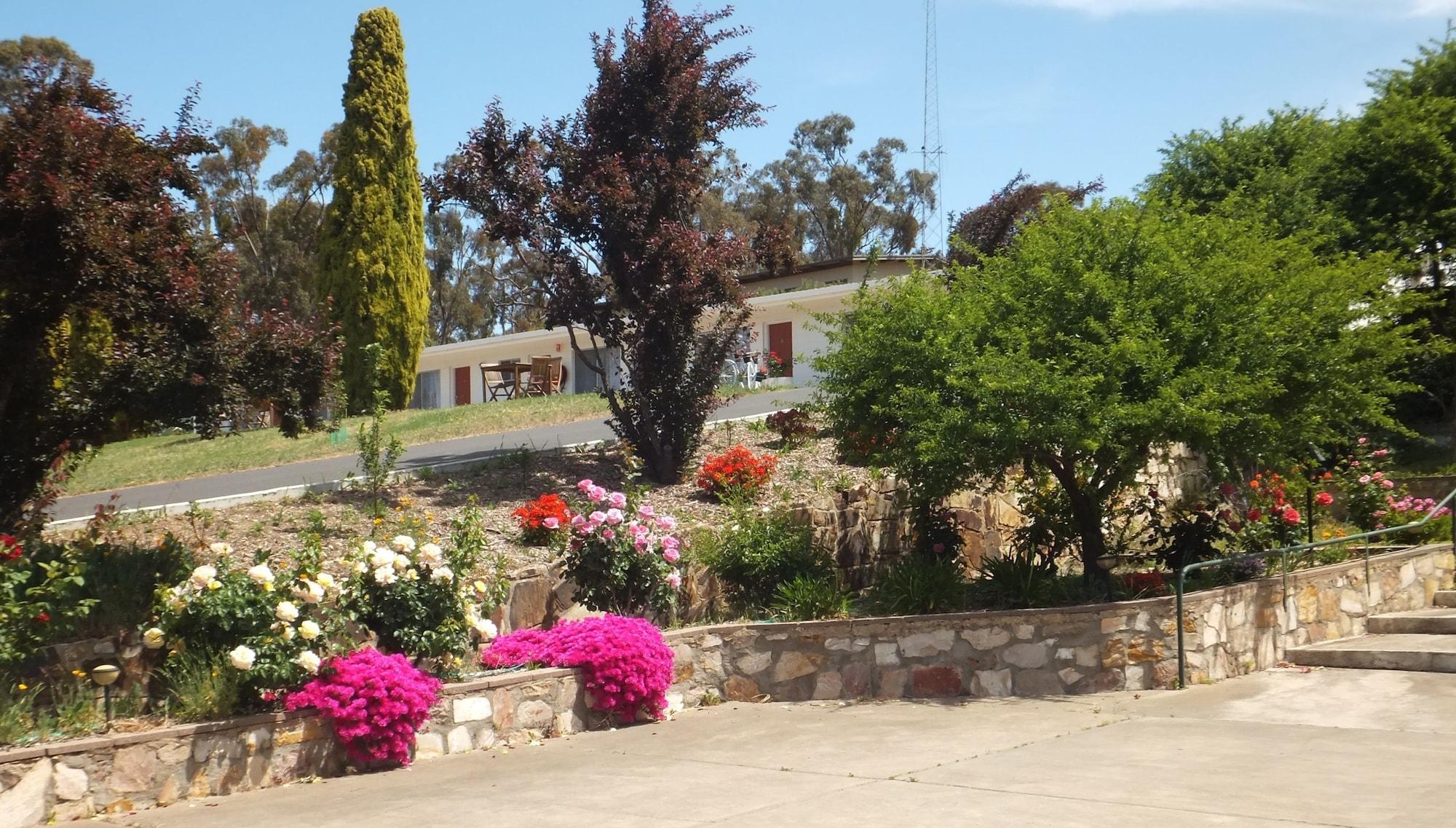 Clare Valley Motel Kültér fotó