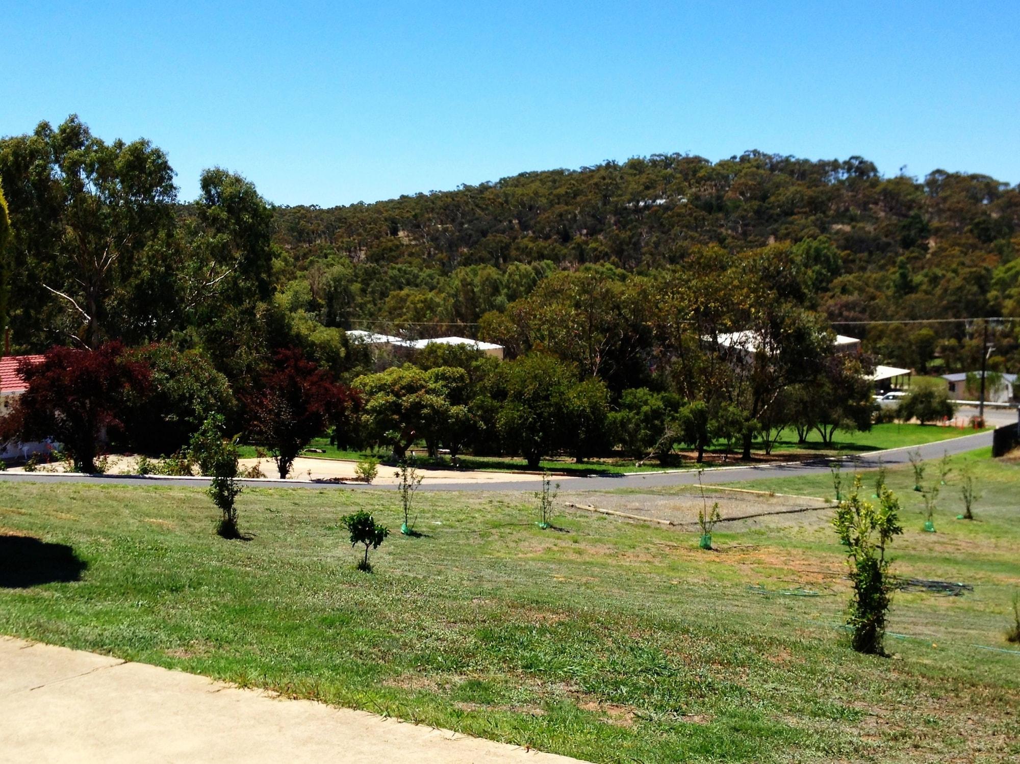 Clare Valley Motel Kültér fotó