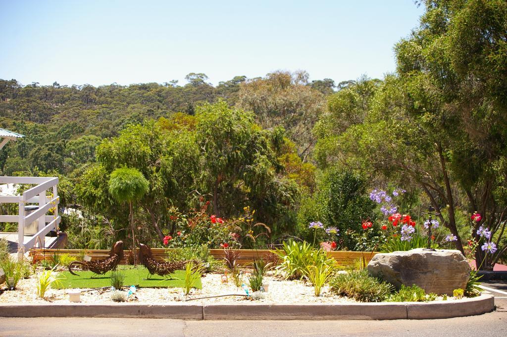 Clare Valley Motel Kültér fotó