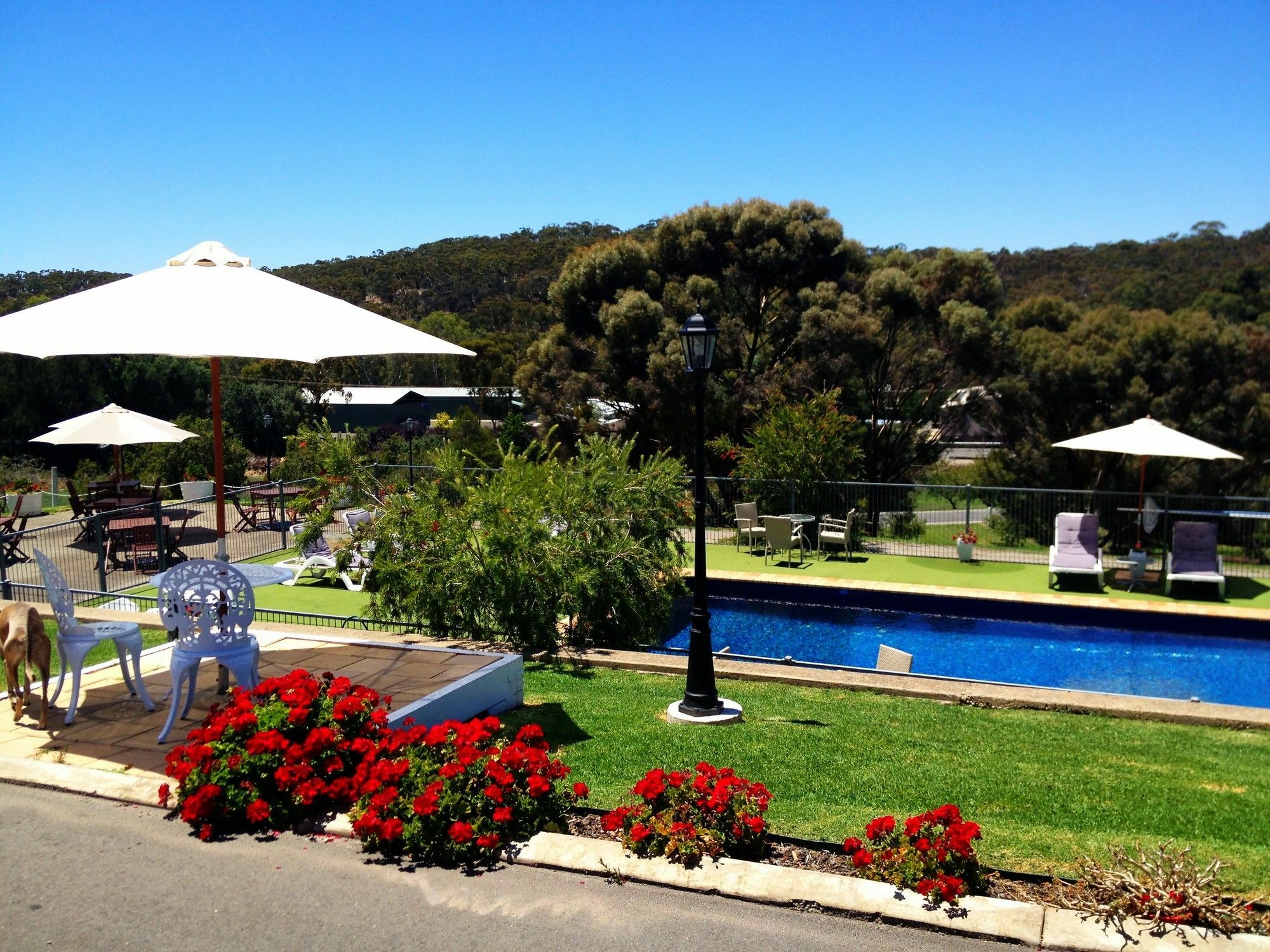 Clare Valley Motel Kültér fotó