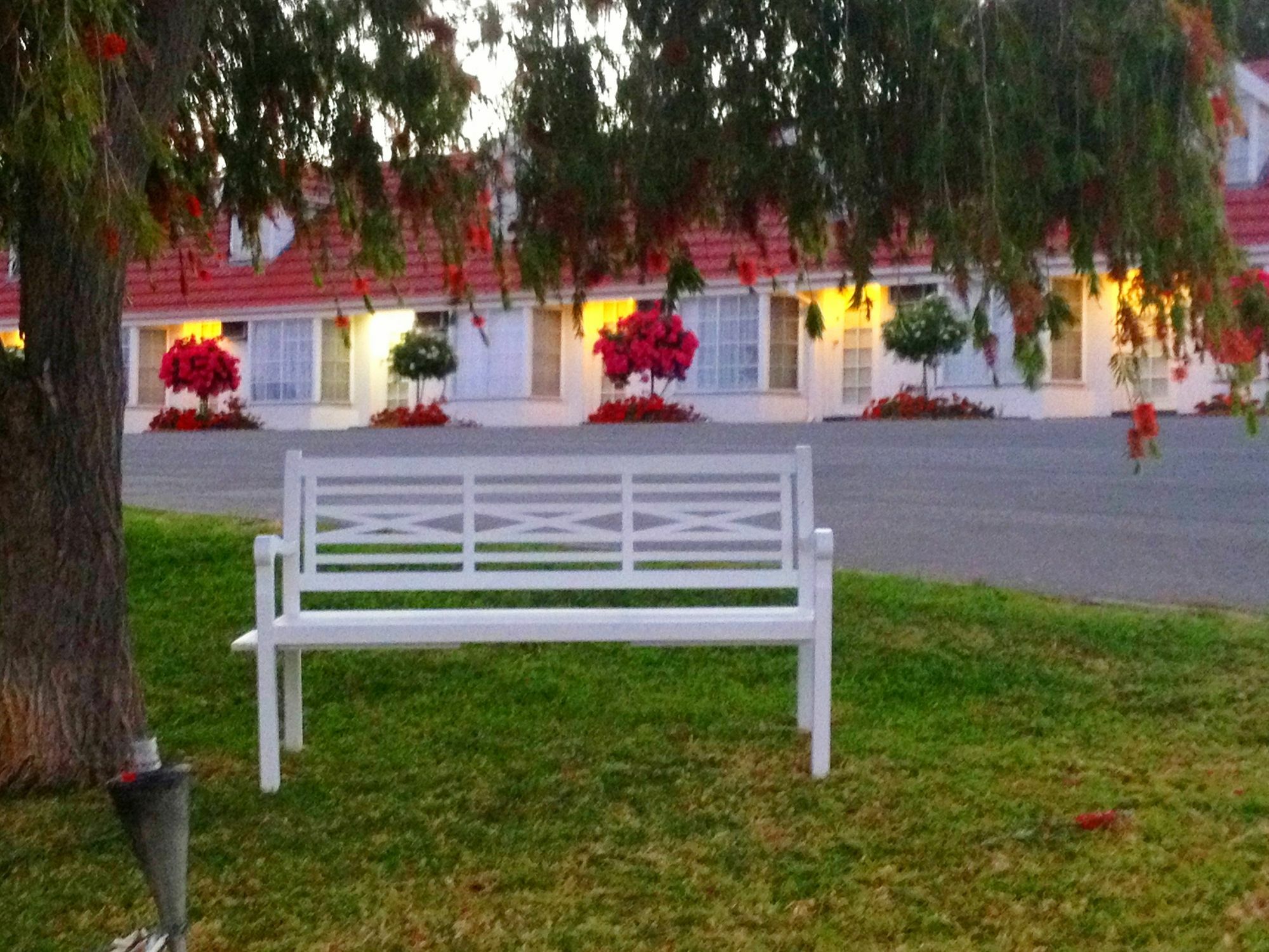 Clare Valley Motel Kültér fotó